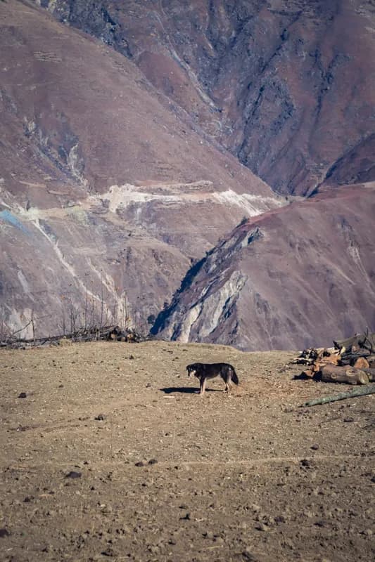 Upper Dolpo Trek
