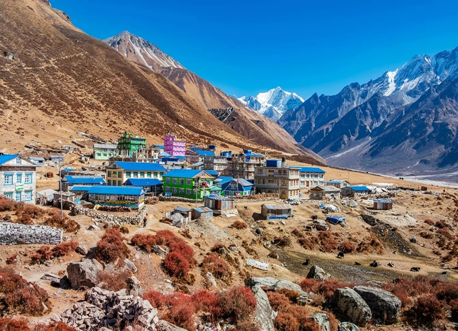 Langtang Valley Trek - Mountain View