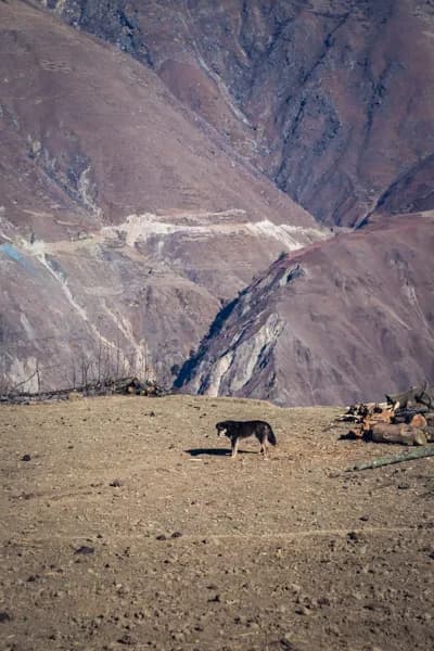 Upper Dolpo Trek - Mountain View
