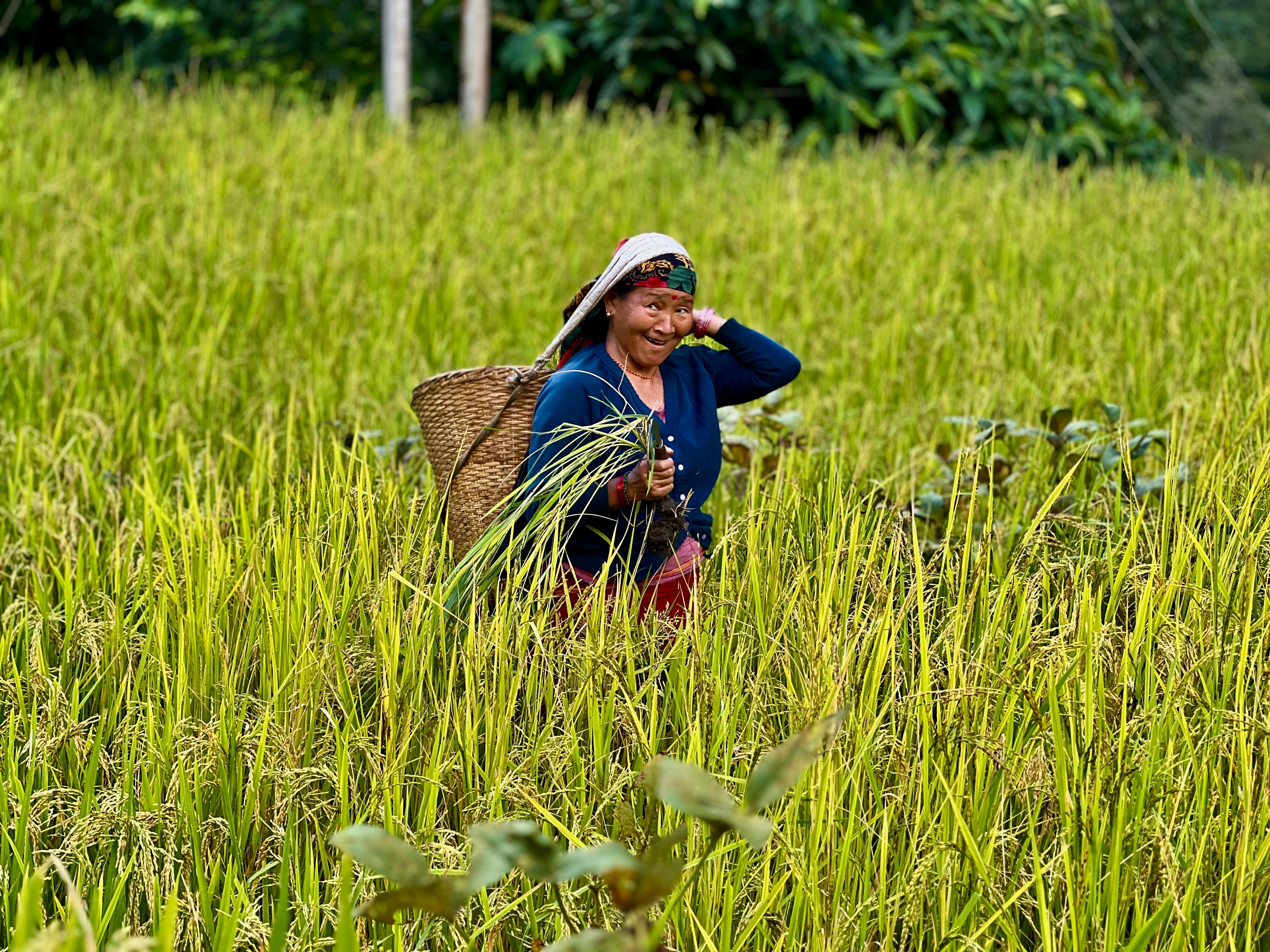 A trek led by Sanjay lama( JaySan? — photo 5