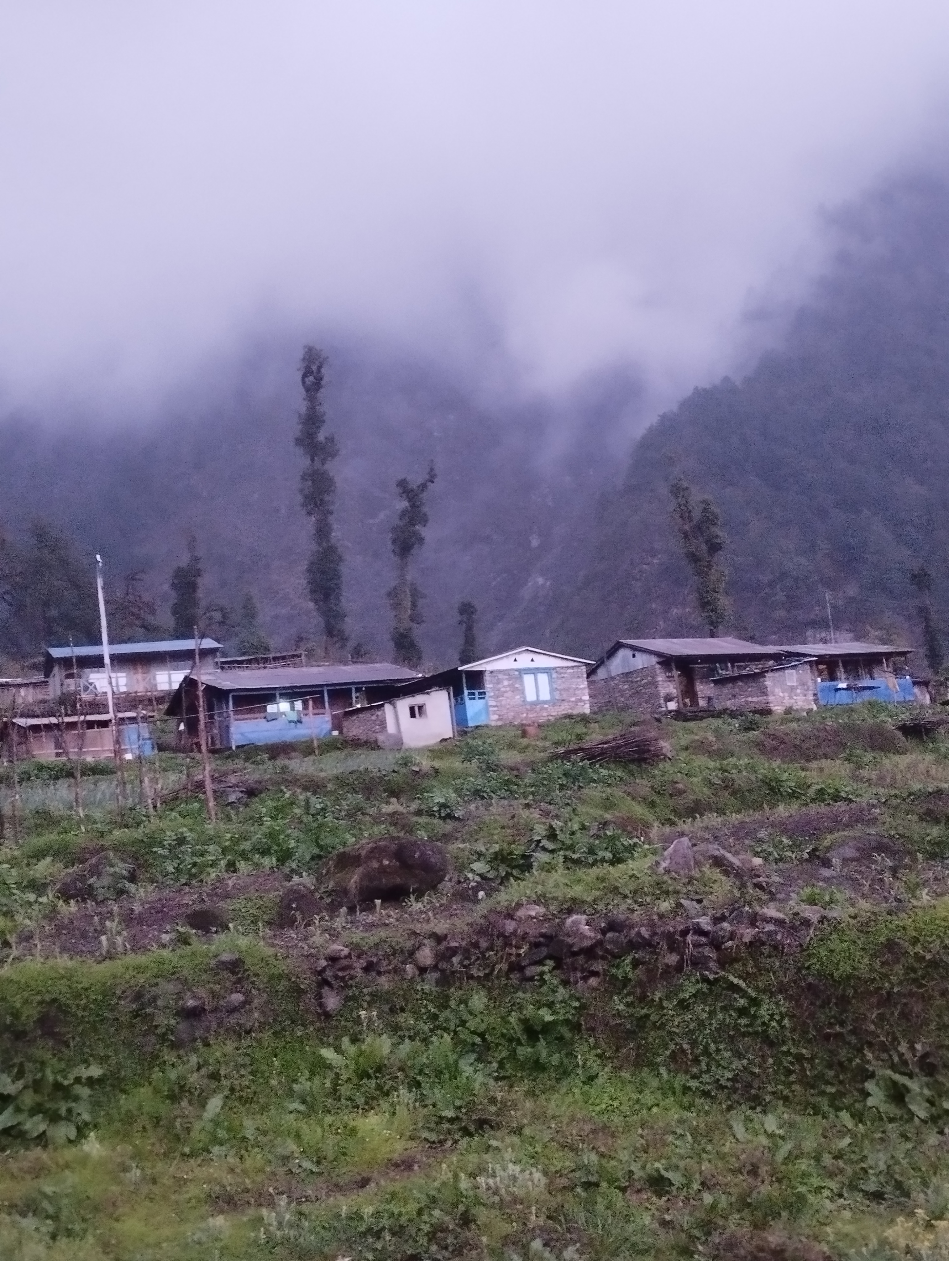 A trek led by Sijan thapa chhetri — photo 5