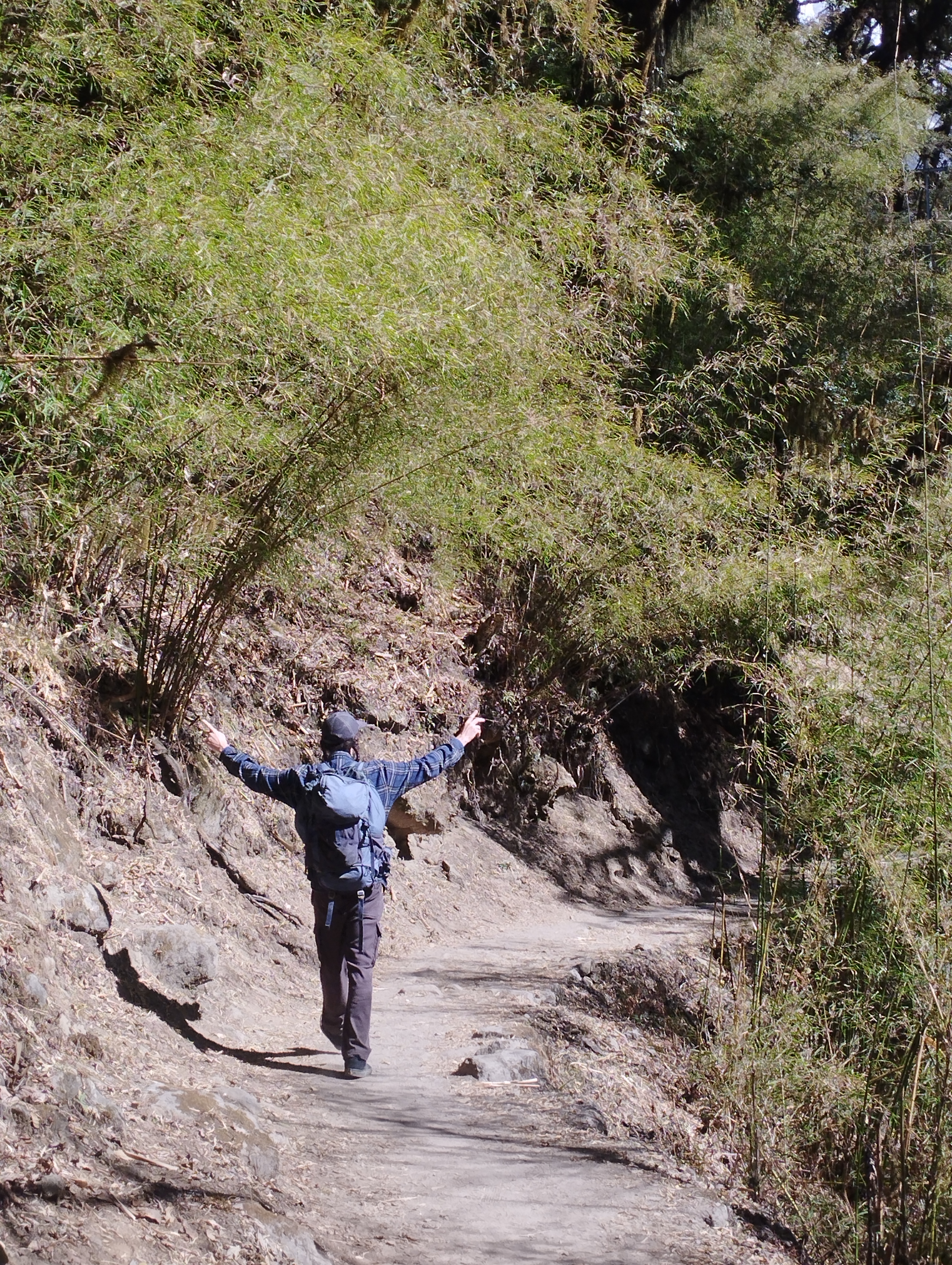 A trek led by Sijan thapa chhetri — photo 4